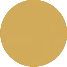 Amarillo medano 2