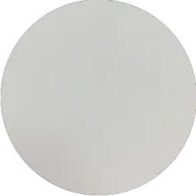 Blanco ostra