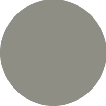 Gris medio
